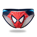 Bikini Funtasy Spiderman