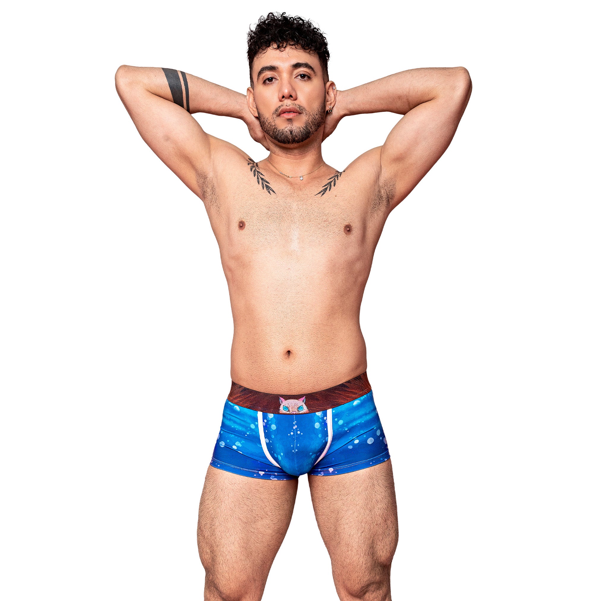 Boxer DS Inosuke Hashibira