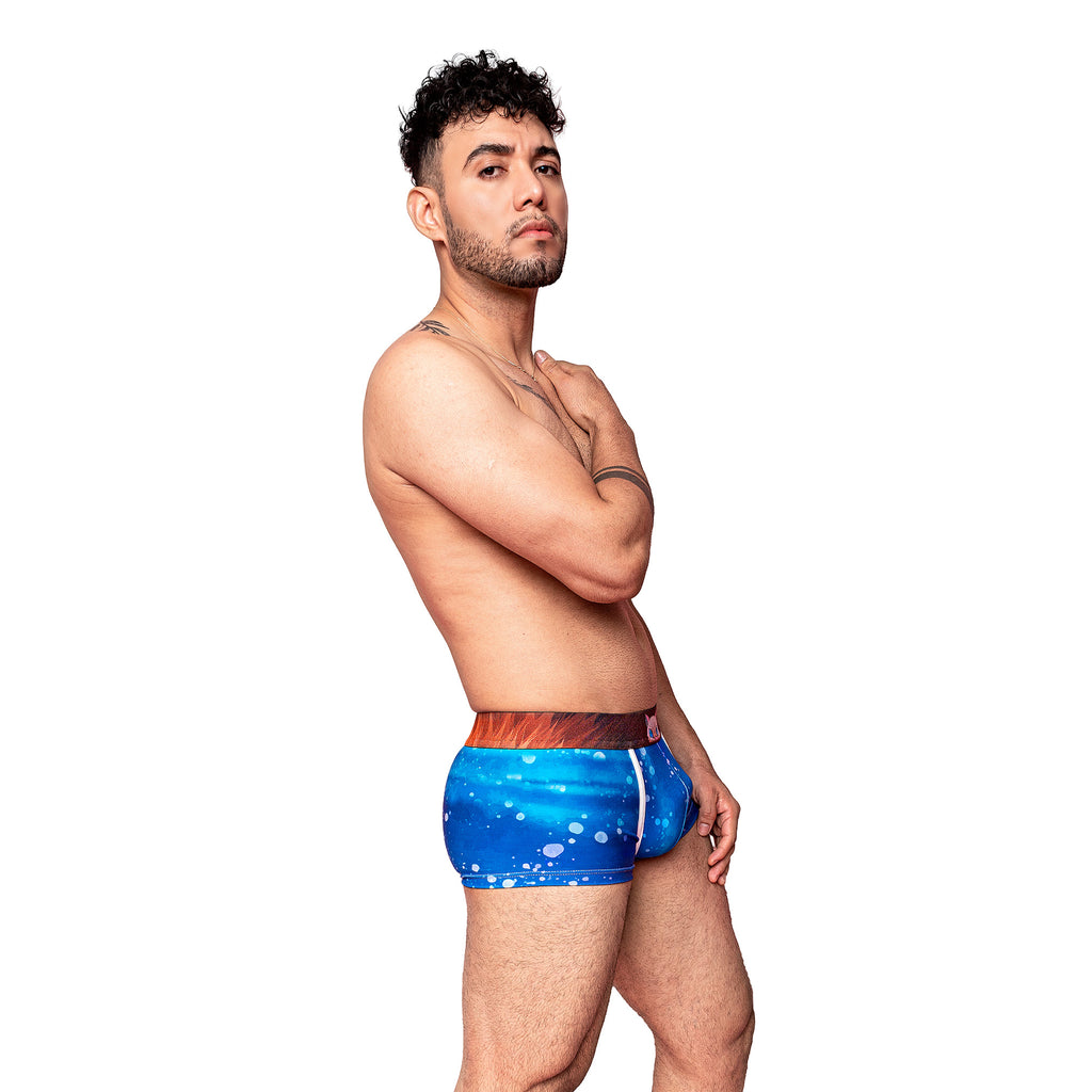 Boxer DS Inosuke Hashibira
