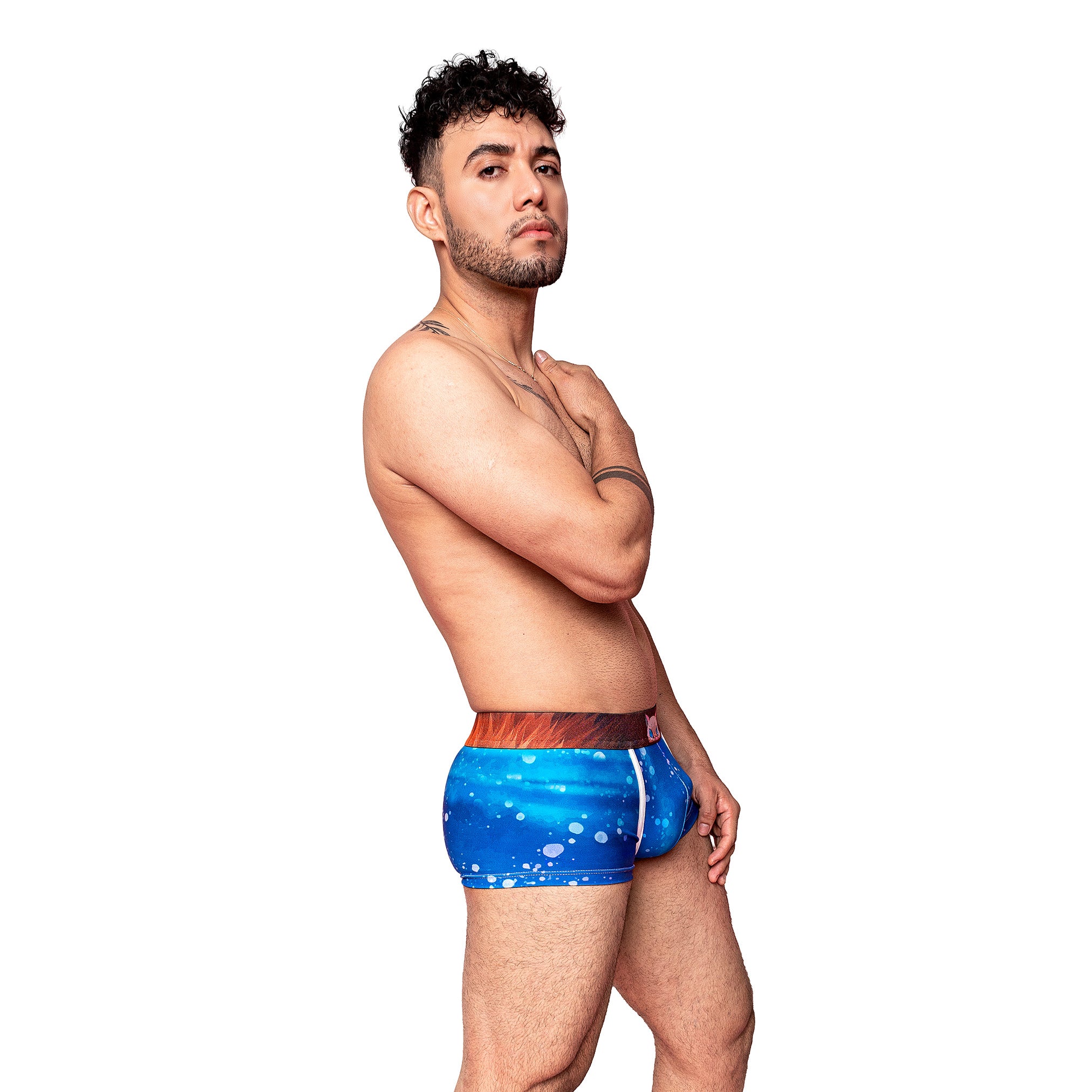Boxer DS Inosuke Hashibira