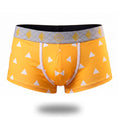 Boxer DS Zenitsu Agatsuma