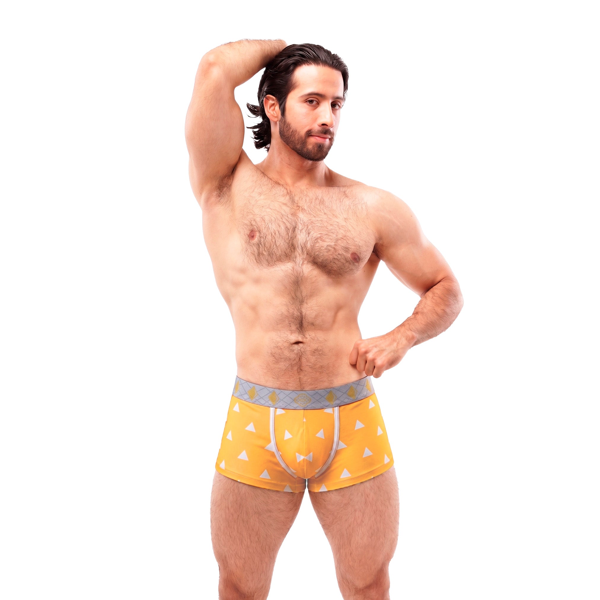 Boxer DS Zenitsu Agatsuma