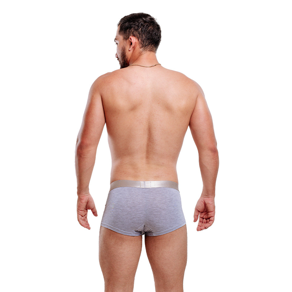 Boxer JM Liso Gris