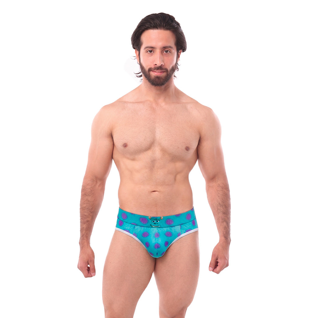Brief BH Sullivan