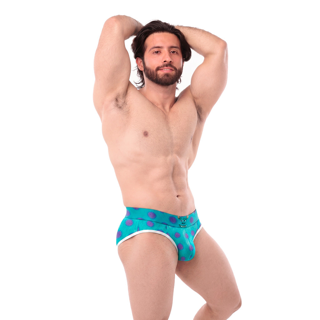 Brief BH Sullivan
