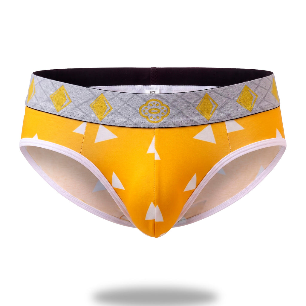 Brief DS Zenitsu Agatsuma