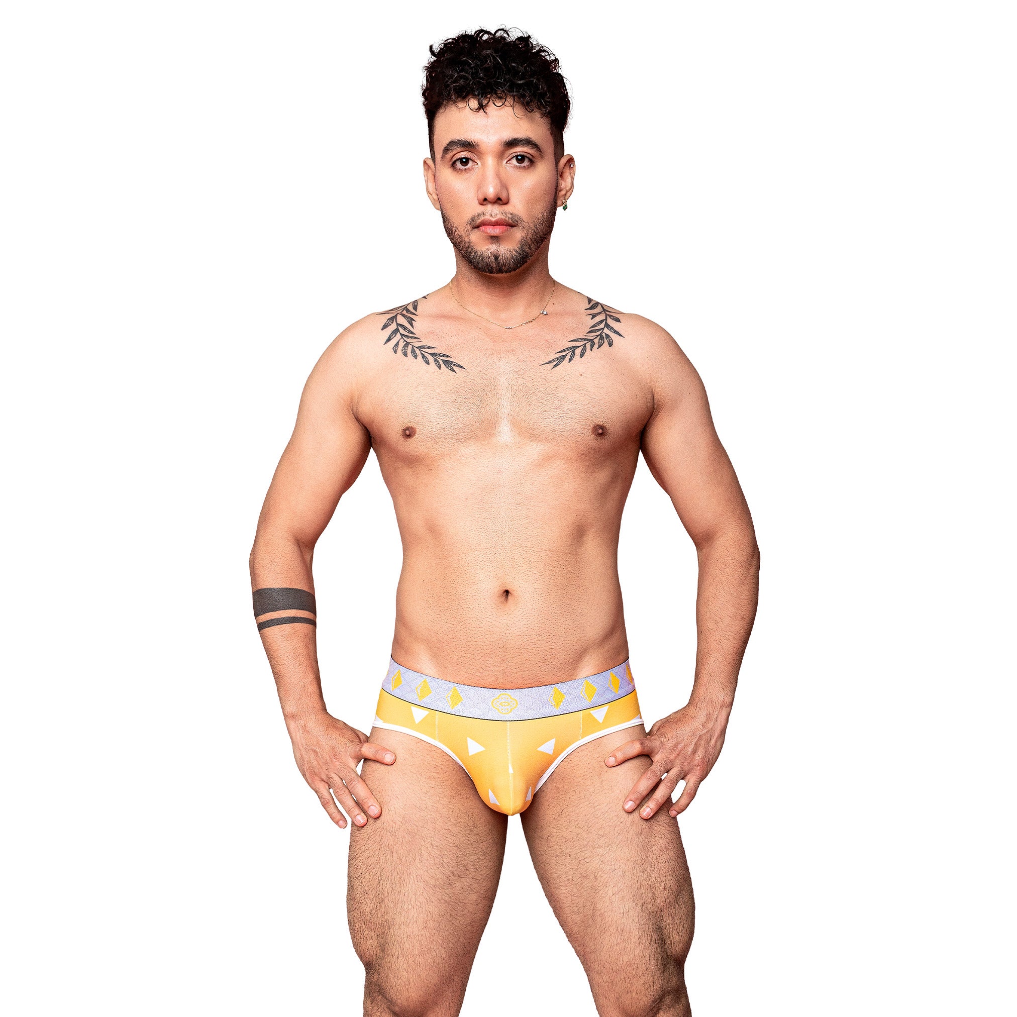 Brief DS Zenitsu Agatsuma